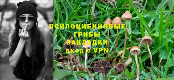 амфетамин Алексин